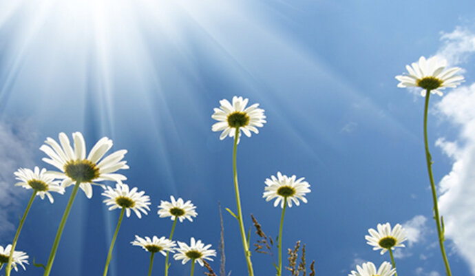imagen de Gas natural